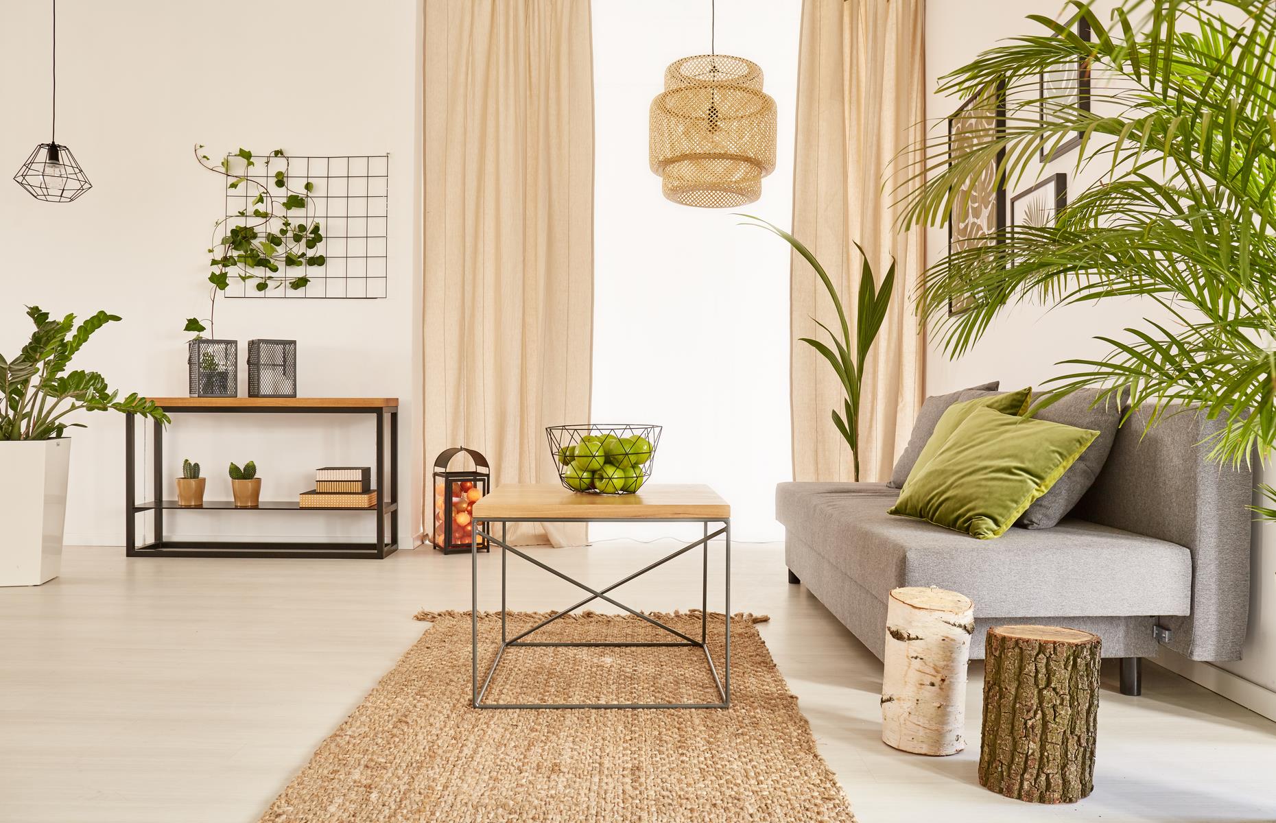 Use pot plants to lower the temperature